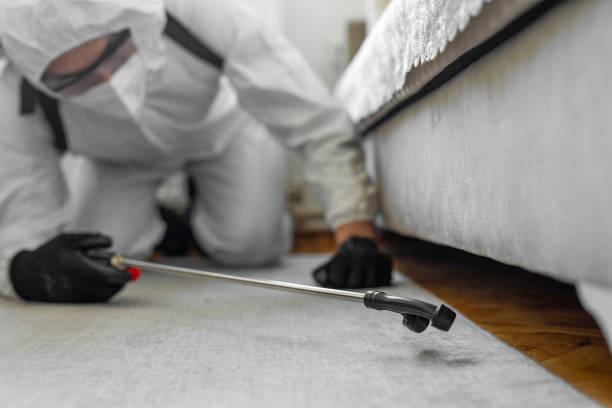 Professional Termite Control technician working in Crawford County County, IN